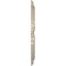 Ekena Millwork Attica PVC Medallion (Canopies up to 5 5/8"), 16"OD x 3 1/2"ID x 1"P, Universal Metallic Pearl Mist CMP16ATEPE - alternate 5